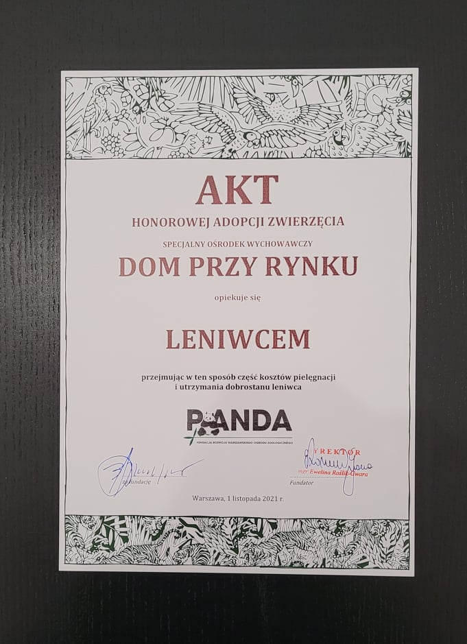 Dyplom potwierdzający adopcję leniwca przez Specjalny Ośrodek Wychowawczy „Dom przy Rynku”